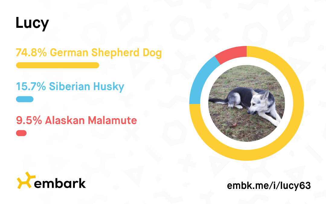 Lucy's Embark Breed Results